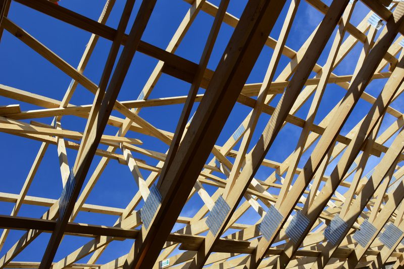 Carpentry & Timber Repairs